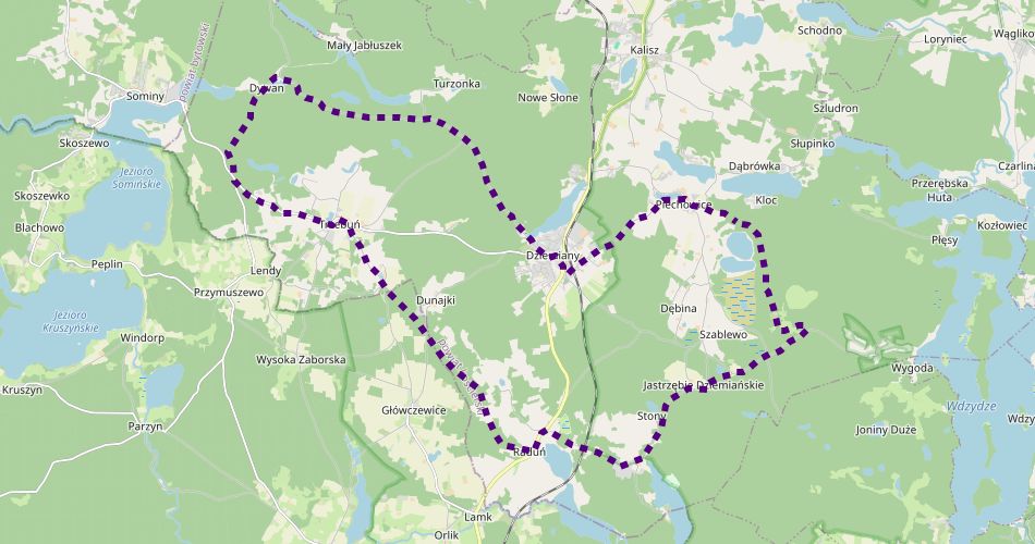 Mapa trasyTrasa rowerowa po gminie Dziemiany B (nieoznakowana)